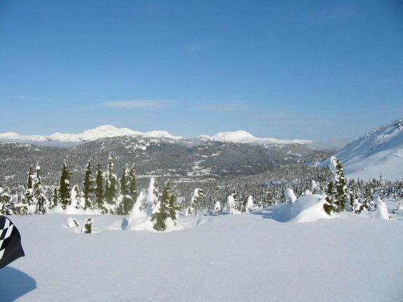 576x432 pixels (49K)